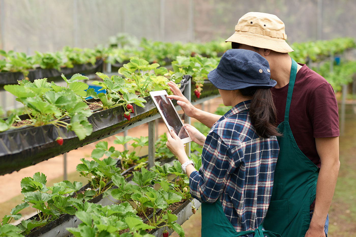 Mobilizing Finance for Nature-based Solutions