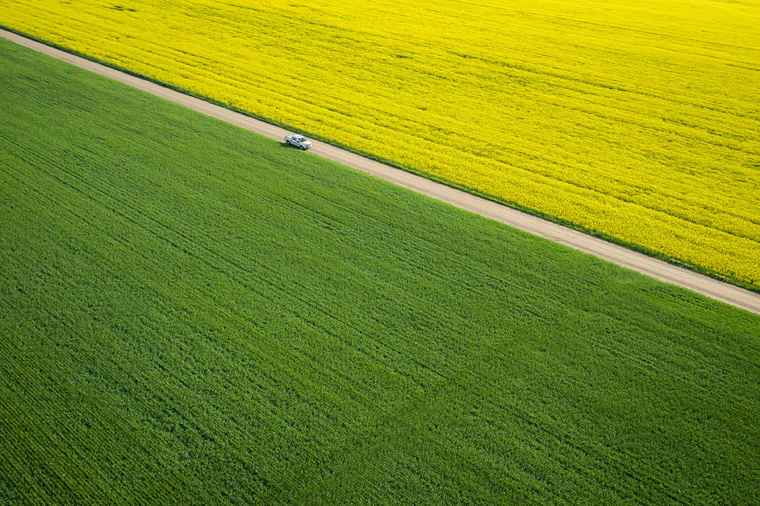 Mobilizing Finance for Nature-based Solutions