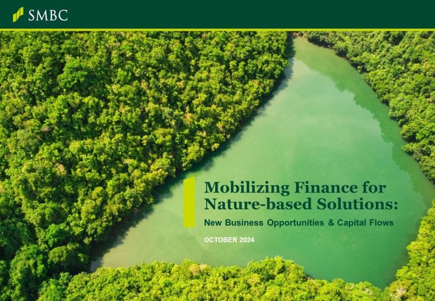 Mobilizing Finance for Nature-based Solutions