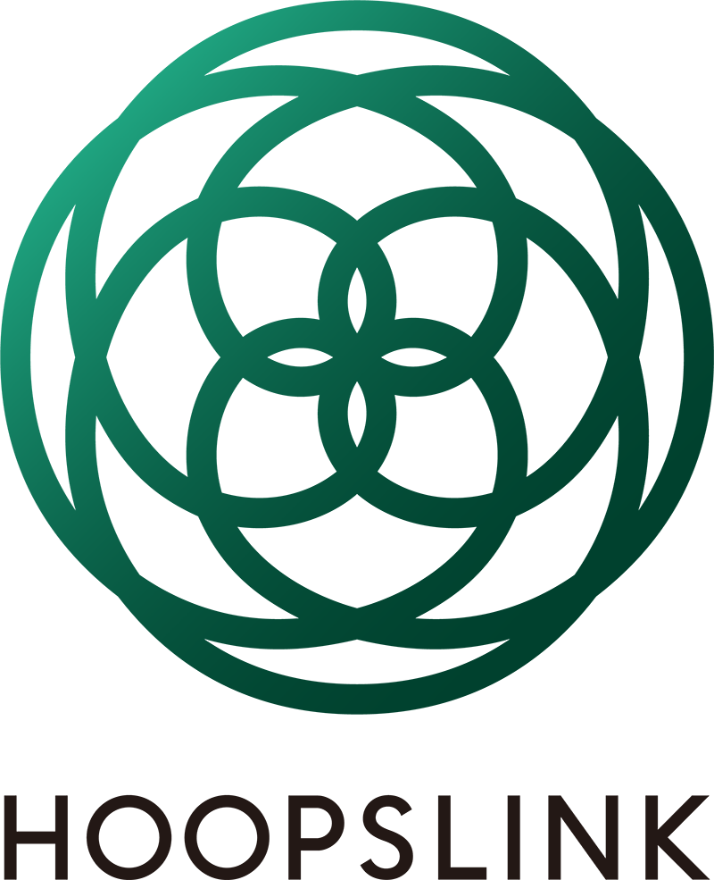 HOOPSLINK