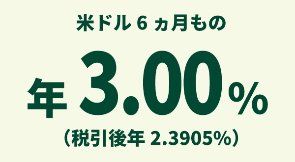 �ăh��6�������� �N3.00%�i�ň���N2.3905%�j