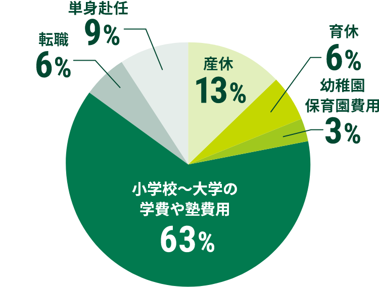 Yx 13% x 6% ctۈ牀p 3% wZ`ẘwmp 63% ]E 6% PgC 9%