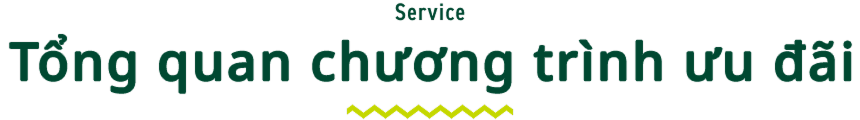 Service Tổng quan chương trình ưu đãi