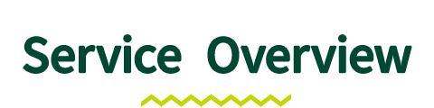 Service Overview