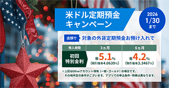 ăhaLy[ 2026N130܂ XőΏۂ̊Oݒaa