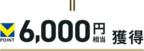 V�|�C���g6,000�~�����l��