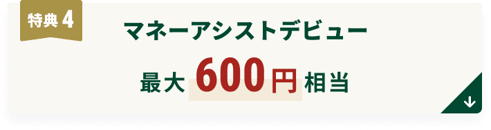 T4 }l[AVXgfr[ ő600~