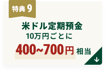 T9 ăha10~Ƃ400`700~