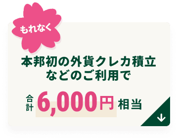 �{�M���̊O�݃N���J�ϗ��Ȃǂ̂����p�ō��v6,000�~����