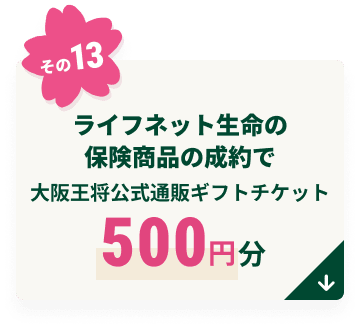 ���C�t�l�b�g�����̕ی����i�̐���ő�㉤�������ʔ̃M�t�g�`�P�b�g500�~��