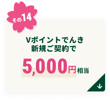 V�|�C���g�ł񂫐V�K���_��ŏ��N�x�N��5,000�~����