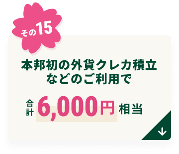 �{�M���̊O�݃N���J�ϗ��Ȃǂ̂����p�ō��v6,000�~����