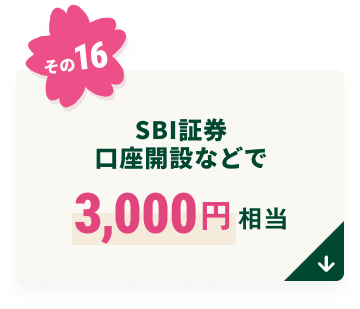 SBI�،������J�݂Ȃǂ�3,000�~����