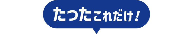 たったこれだけ!