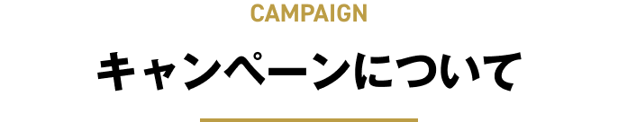 CAMPAIGN �L�����y�[���ɂ���