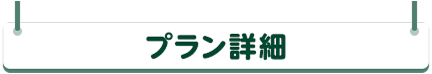 �v�����ڍ�