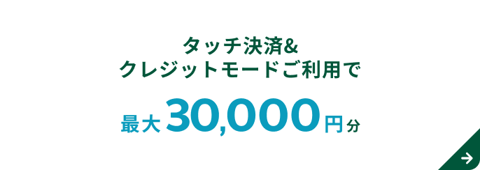 �^�b�`����&�N���W�b�g���[�h�����p�� �ő�30,000�~��