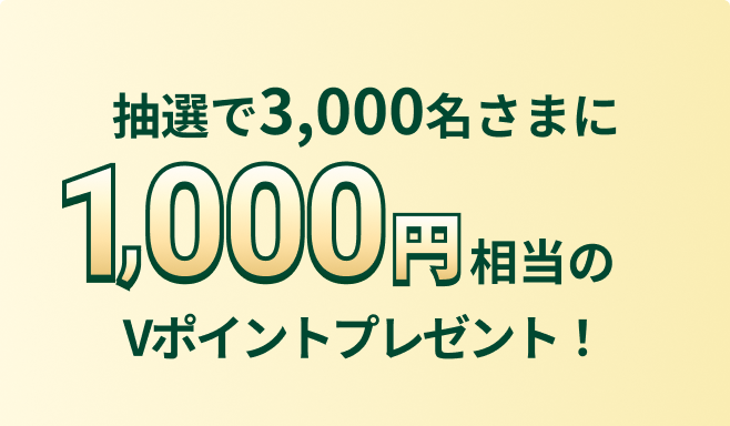 �������3,000�����܂�1,000�~������V�|�C���g�v���[���g�I