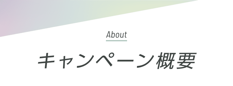 �L�����y�[���T�v