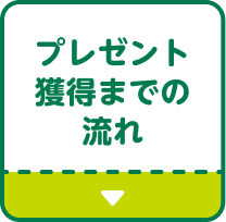プレゼント獲得までの流れ