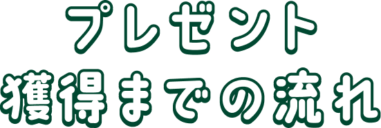 プレゼント獲得までの流れ