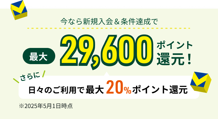 ȂVKBōő29,600|CgҌIɓX̂pōő20%|CgҌ2025N51_