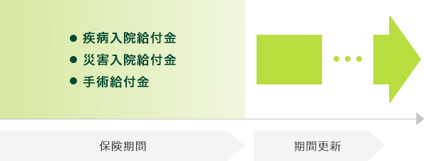 医療保険(有期型)のイメージ図