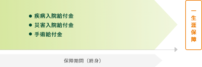 医療保険(終身型)のイメージ図