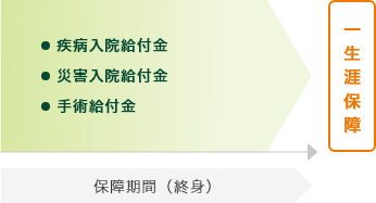 医療保険(終身型)のイメージ図