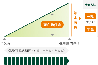 平準払個人年金保険のイメージ図