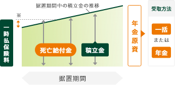 定額個人年金保険(円建/外貨建)のイメージ図