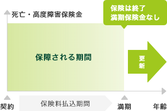 定期保険のイメージ図